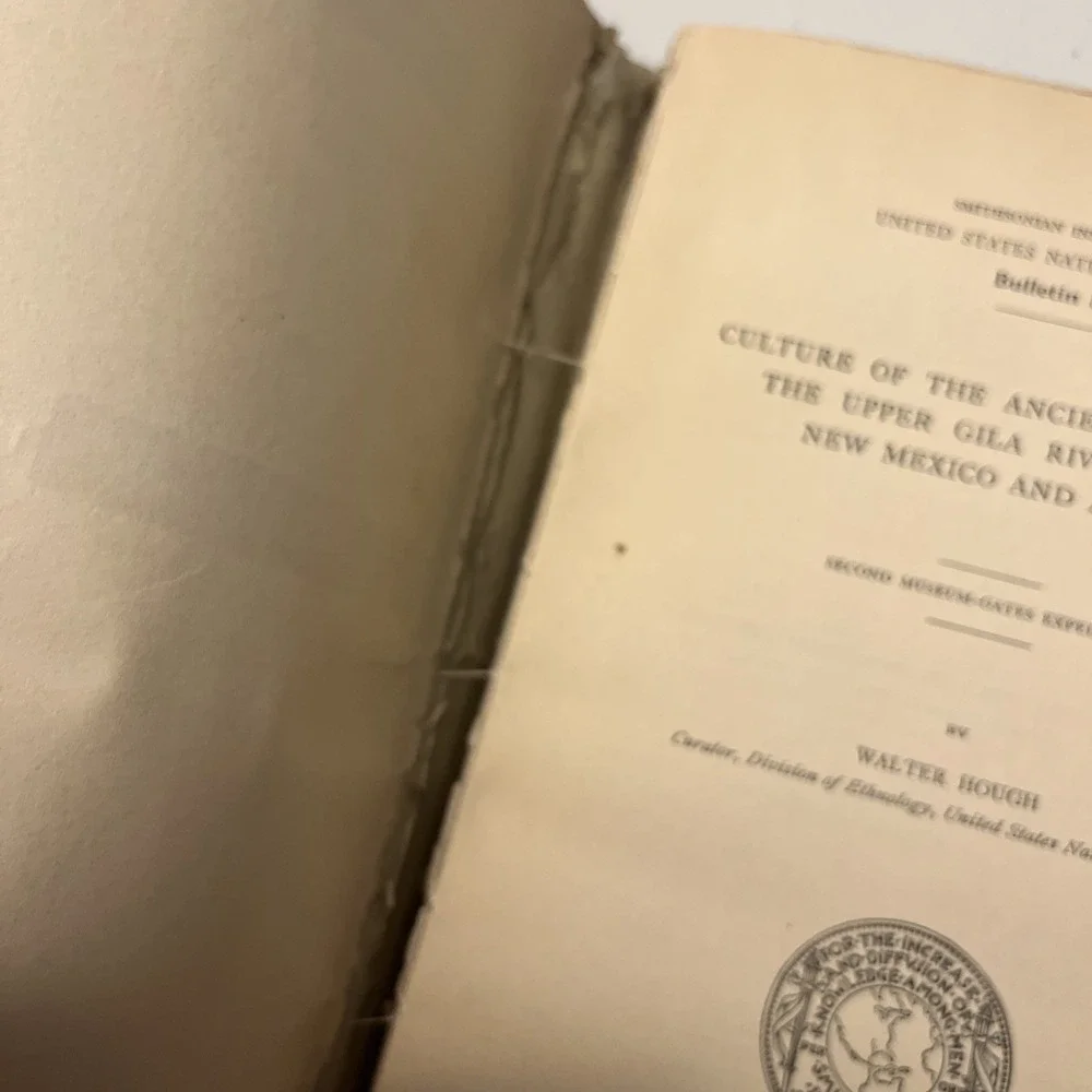 Culture of the Ancient Pueblos of the Upper Gila River Region, New Mexico and Ar